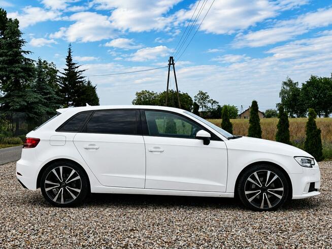 Audi A3 Sadlno - zdjęcie 4