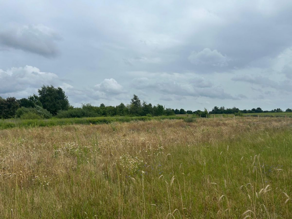 Działki budowlane z WZ, w zielonej części Poznania Poznań - zdjęcie 2