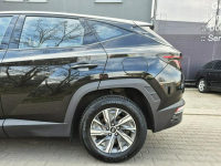 Hyundai Tucson 1.6 T-GDI 150KM 6 MT 2WD 150 KM Wersja Smart Poznań - zdjęcie 9