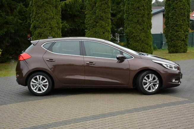 Platinum Lift Navi Ledy Kamera Klimatronic Matrix Braun Alu16 ASO Kia Ostrów Mazowiecka - zdjęcie 12