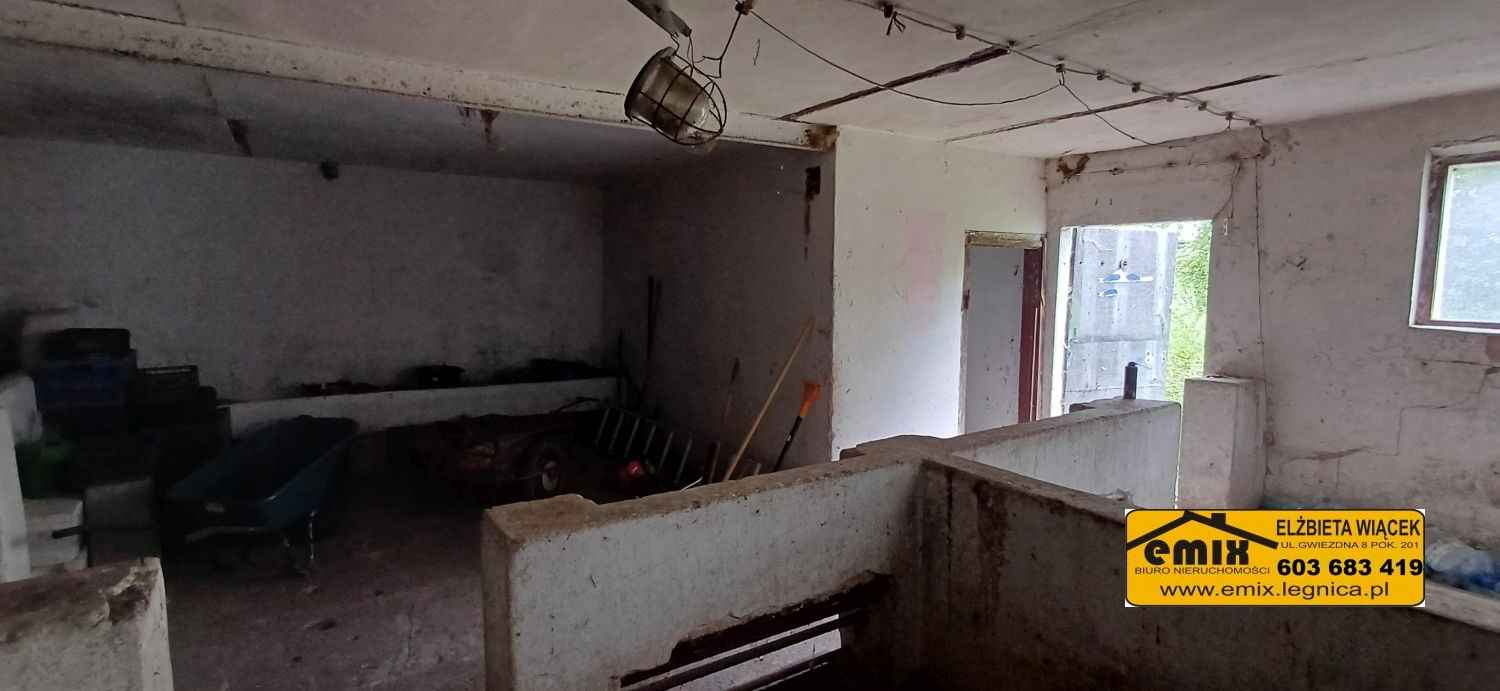 Działka z domem i możliwością jego rozbudowy - 5 km od Chojnowa Chojnów - zdjęcie 5