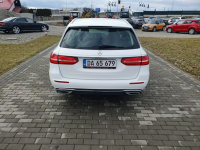 Mercedes E 220 2.0d 194KM W213 Automat Raty Zamiana Strobice - zdjęcie 7