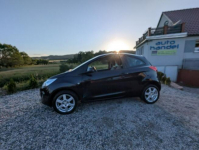Ford KA 1.25 benzyna Bogata wersja Chempion League Kamienna Góra - zdjęcie 9