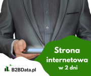 Strona internetowe dla Ciebie w 2 dni Rzeszów - zdjęcie 1