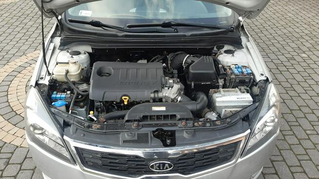 Kia Cee'd 1,6 CRDI  Export Bachowice - zdjęcie 10