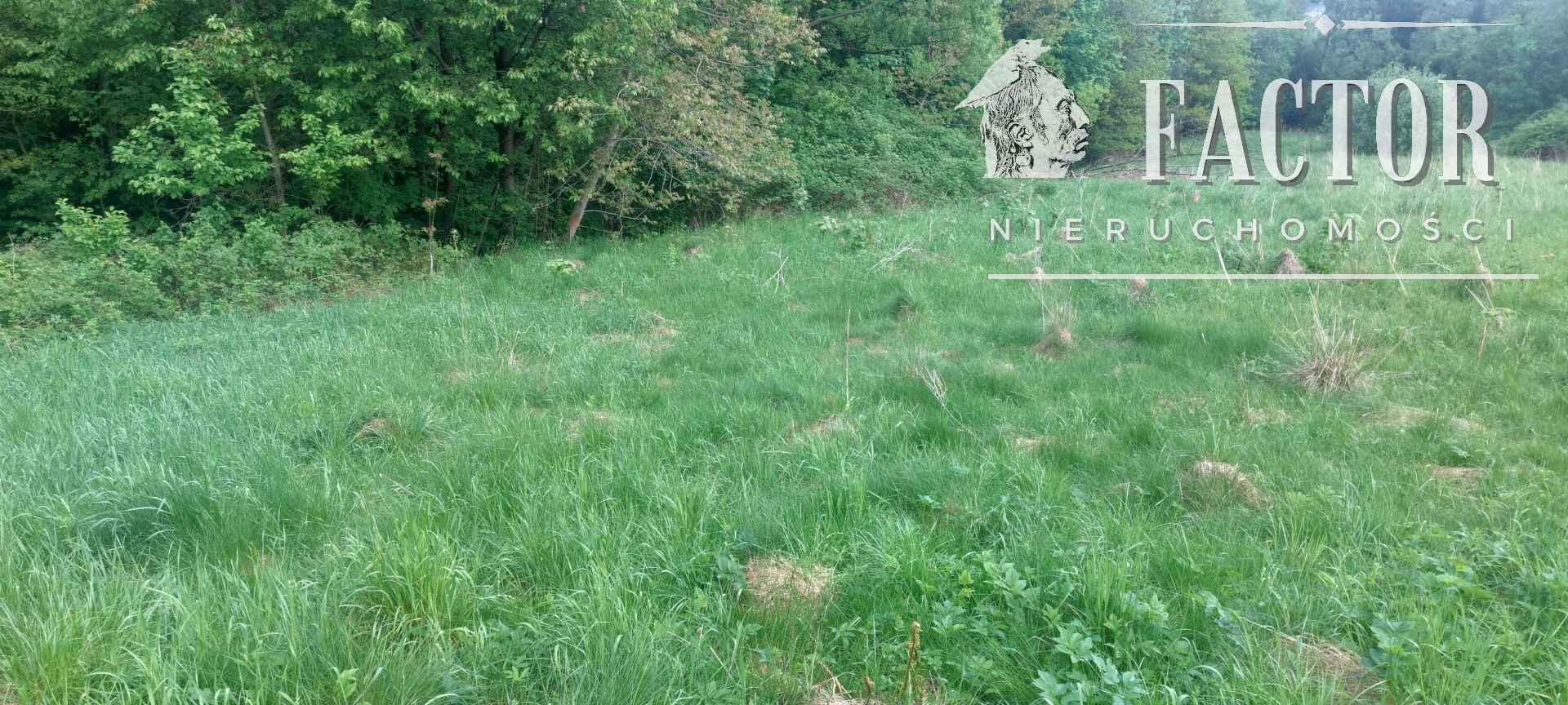 Siary, działka rolna, 1149S/2025 Siary - zdjęcie 2