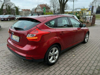Ford Focus 1.6 benzyna 150 KM bogate wyposażenie Słupsk - zdjęcie 5