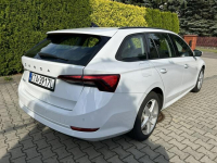 Škoda Octavia 2.0 TDi DSG  biała perła, bardzo zadbana! Tarnów - zdjęcie 4