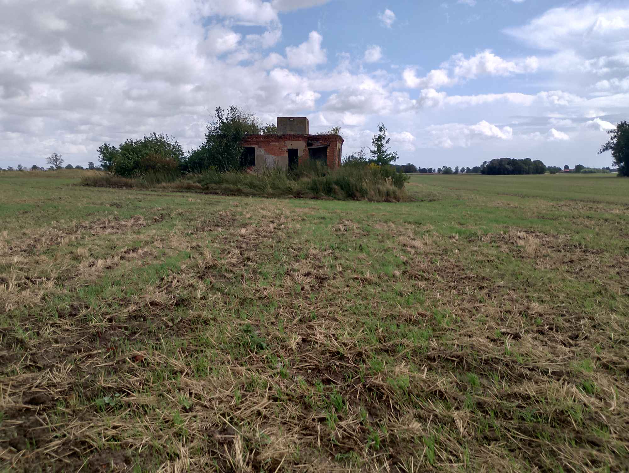 Sprzedam Działkę Warnice - zdjęcie 10