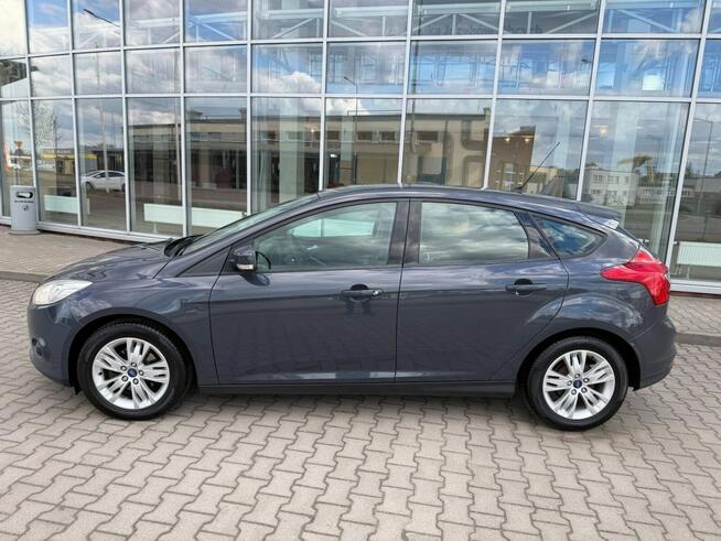 Ford Focus 1.6 TDCi DPF Champions Edition Gostynin - zdjęcie 9