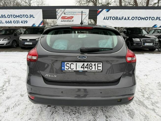 Ford Focus Klimatyzacja, PL salon, Pierwzy właściciel, 2 kpl. kół Cieszyn - zdjęcie 10