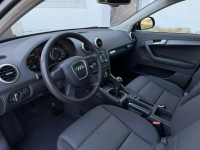 Audi A3 1.6MPI 102KM Sportback z Niemiec Zadbany Facelift Ocice - zdjęcie 5