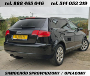 Audi A3 8P • 1.6 benz MPI • 5 drzwi • 2006 • jasne wnętrze • z Niemiec Nowe Miasto Lubawskie - zdjęcie 4