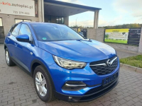 Opel Grandland X 1.5 Diesel Kamera Klimatronik tylko 90 tys km!!! Burzenin - zdjęcie 7