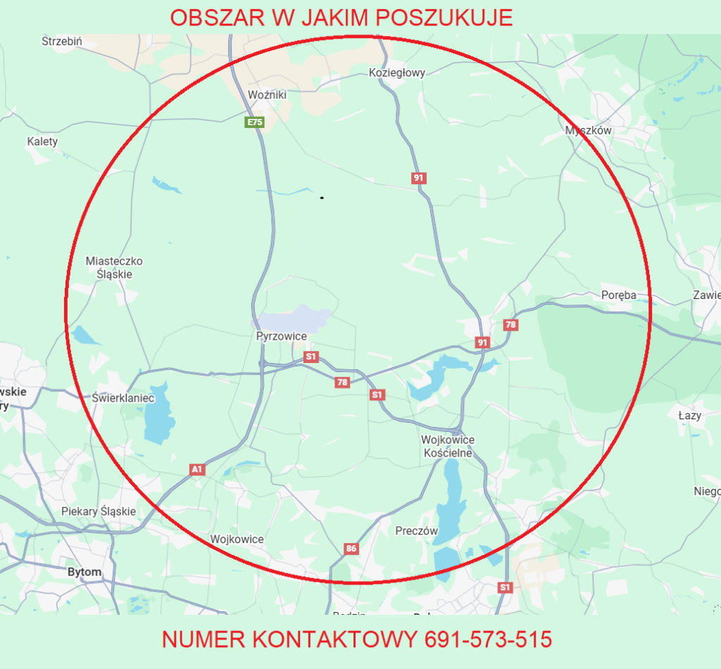Kupię dom/siedlisko/gospodarstwo na wsi tylko bezpośrednio ikonkretnie Częstochowa - zdjęcie 1