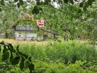 Działka budowlana (6000 m2) JEZIORO/LAS (Drogoszowice) Drogoszowice - zdjęcie 9