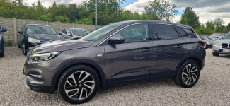Opel Grandland X Jeden Właściciel Super Stan Bezwypadkowy Płock - zdjęcie 4