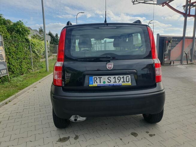 Fiat Panda 1.2 2008 z panoramą Turek - zdjęcie 5