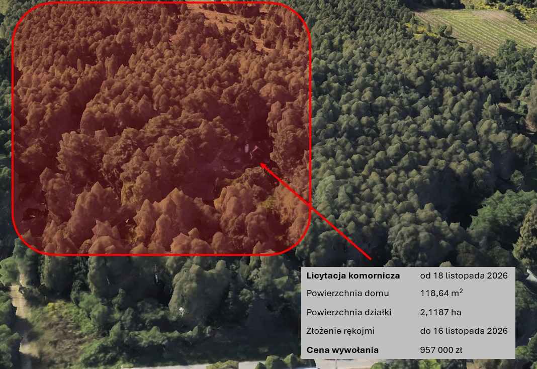 Blisko Łodzi, las, duża działka, licytacja komornicza Plichtów - zdjęcie 2