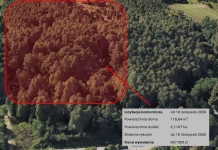 Blisko Łodzi, las, duża działka, licytacja komornicza Plichtów - zdjęcie 2