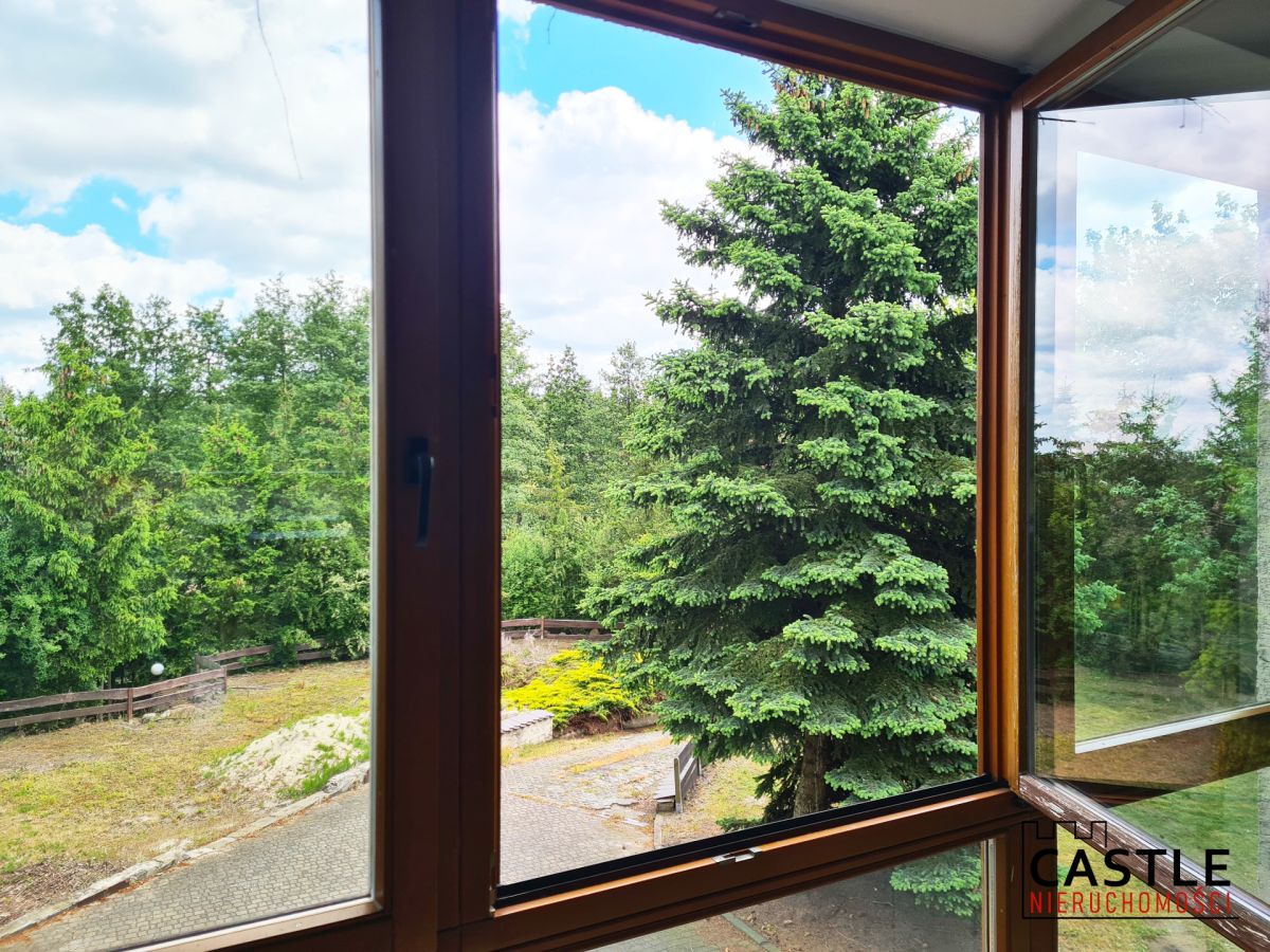 Oaza spokoju na Morasku Poznań - zdjęcie 9