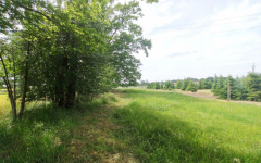 Działka z WZ blisko Nowego Tomyśla.