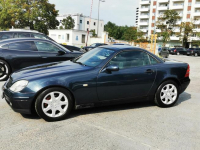 SLK R170 Roadster Kabriolet 2.0 (200) 136KM, Manual, Skórzan Warszawa - zdjęcie 5