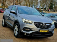 Opel Grandland X Serwis LED Parktronic Climatronic Tempomat Gwarancja Szczecin - zdjęcie 3