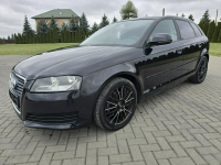 Audi A3 1,4Turbo Benz.LIFT.Automat.Navi.DVD.Parktronic.Tempomat. Kutno - zdjęcie 7