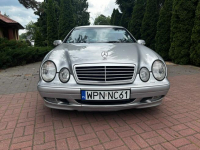 Mercedes CLK 200 Super stan Płońsk - zdjęcie 4