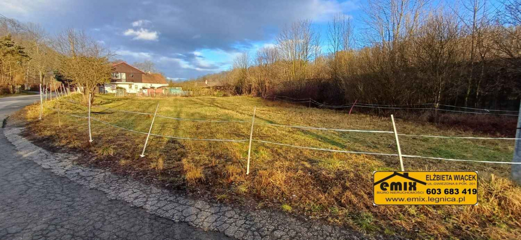 Działka budowlana 1500m2 w Starej Kraśnicy k. Świerzawy Złotoryja - zdjęcie 7