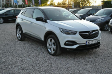 Opel Grandland X Automat Klimatyzacja Kamera Czujniki Parkowania
