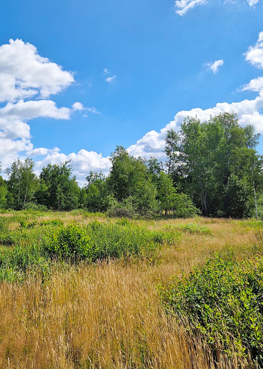Działka budowlana Grabówka 1228m2 Grabówka - zdjęcie 2