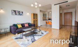 Angel Plaza, ul. Zwierzyniecka Kraków - zdjęcie 7