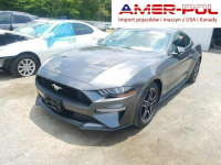 Ford Mustang 2018, 2.3L, po gradobiciu Warszawa - zdjęcie 1