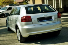 Audi A3 1,6TDI Klima, alu, Xenony, 2009r. Płock - zdjęcie 4