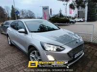Ford Focus Telefon: 790_450_394 Lokalizacja: Buk