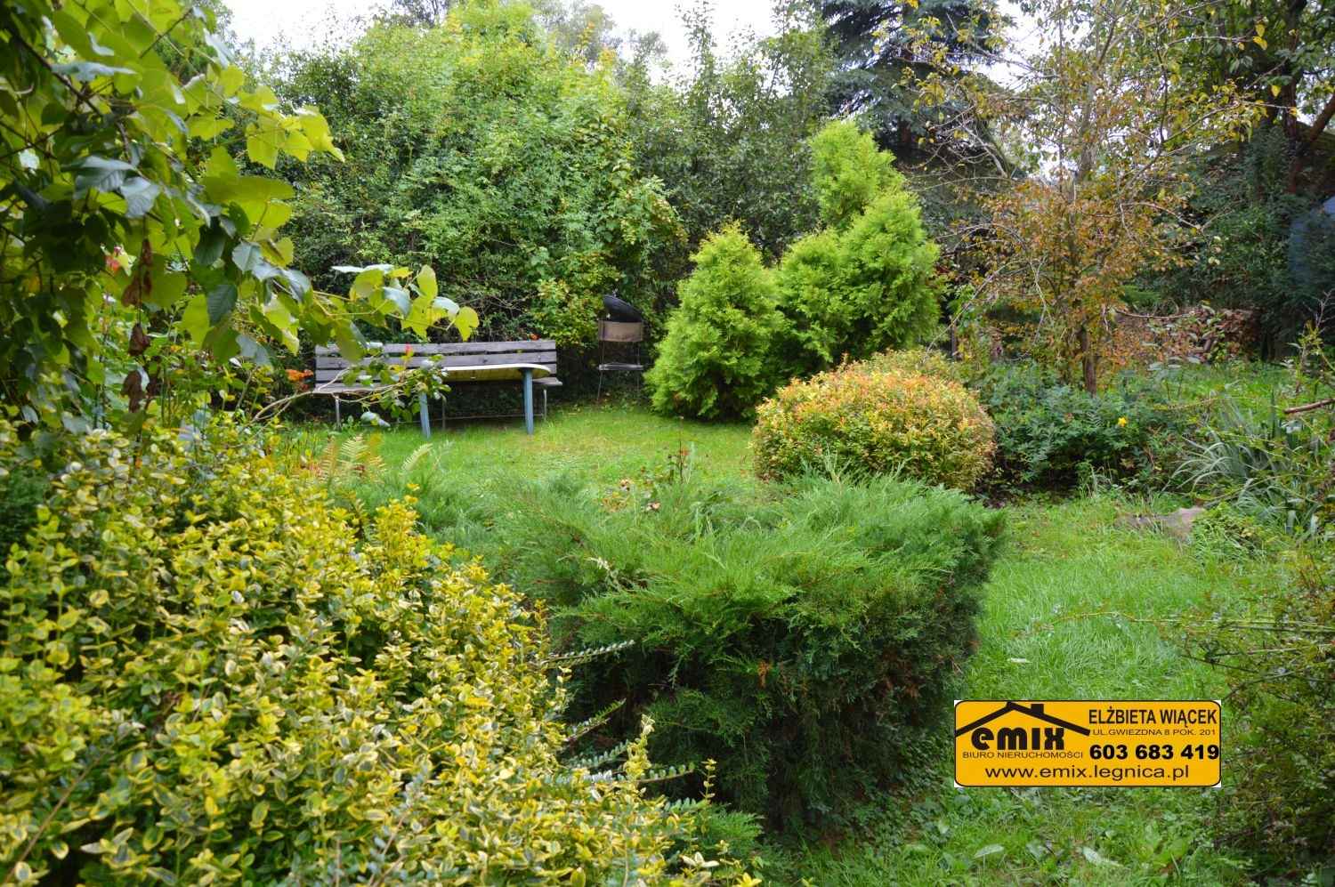 3 pokoje, parter, po remoncie, Nowy Kościół, 7 km od Złotoryi Złotoryja - zdjęcie 10