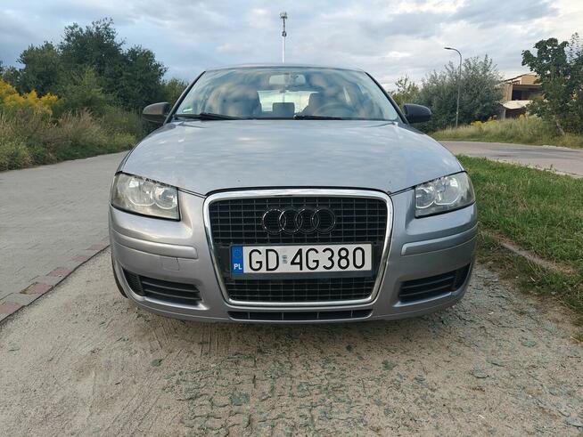 Audi A3 8P 1.6 MPI Gdańsk - zdjęcie 3