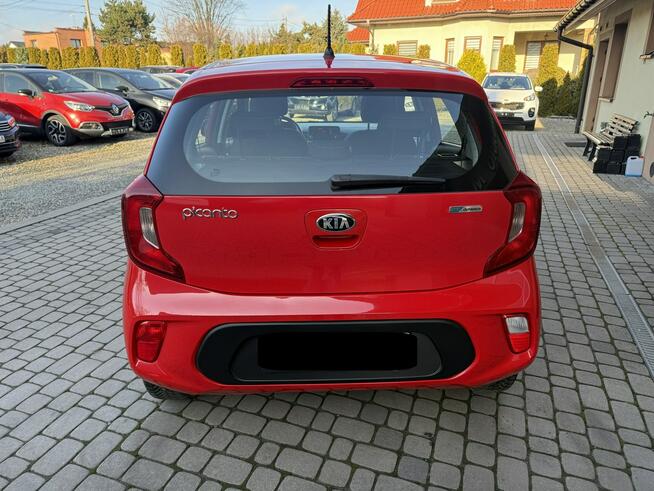 Kia Picanto 1,0 67KM  klimatyzacja  1Właściciel  Koła lato + zima Orzech - zdjęcie 8