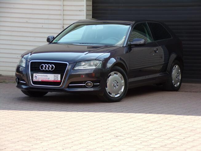 Audi A3 Klimatronic /I Właść /1,4 /125KM /2011 /Lift Mikołów - zdjęcie 8