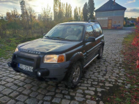 Land rover Freelander 4x4 Polska Cerekiew - zdjęcie 2