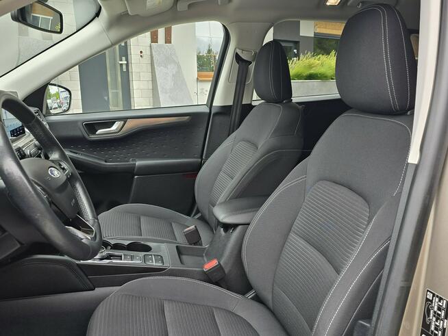 Ford Kuga 1.5 EcoBlue 120KM Titanium / Salon PL I-właściciel Skępe - zdjęcie 10