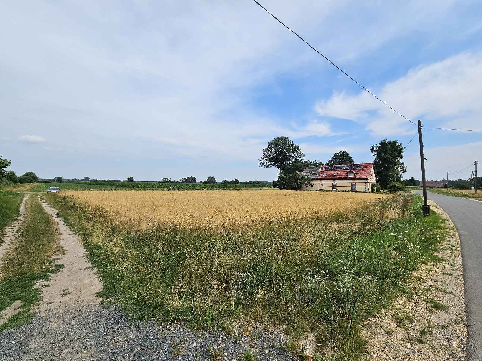 Działka Budowlana (2000 m2) MEDIA (Brzozowiec) Brzozowiec - zdjęcie 11