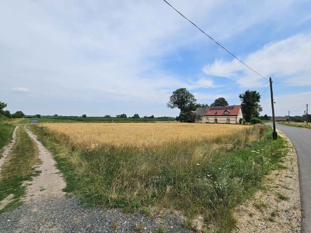Działka Budowlana (2000 m2) MEDIA (Brzozowiec) Brzozowiec - zdjęcie 11