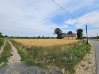 Działka Budowlana (2000 m2) MEDIA (Brzozowiec) Brzozowiec - zdjęcie 11