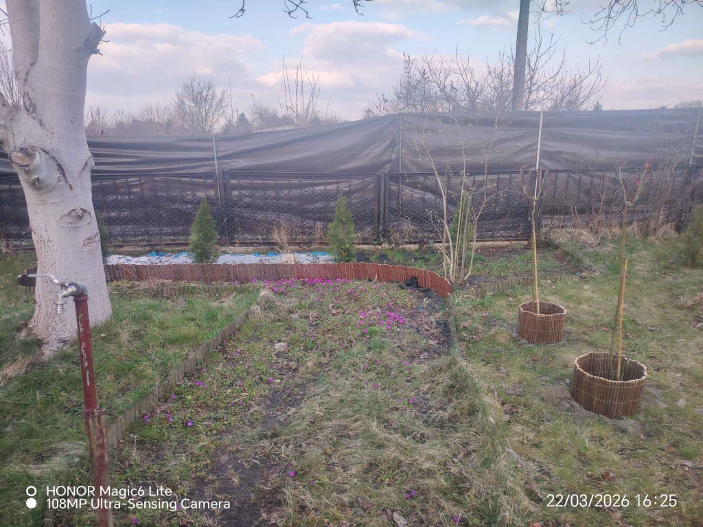 Działka rod Zielona Góra - zdjęcie 4