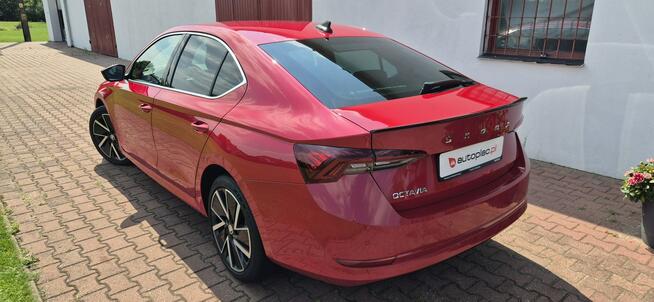 Škoda Octavia SALON PL-STYLE-VIRTUAL-SERWIS Paproć - zdjęcie 6