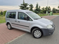 Volkswagen Caddy Oryginał Stan Bezwypadkowy 7 Osobowy I Właściciel Zielona Łąka - zdjęcie 2