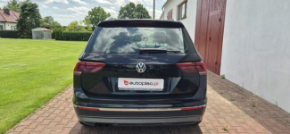 Volkswagen Tiguan Paproć - zdjęcie 6